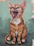 Big yawn