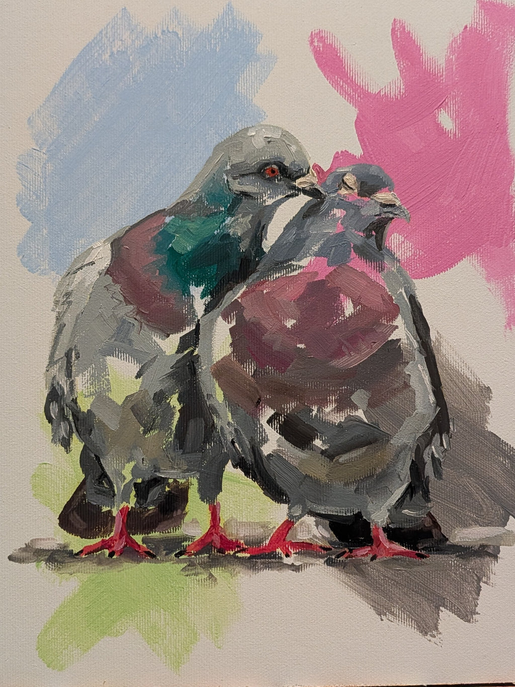 The Beauty of the Pigeon