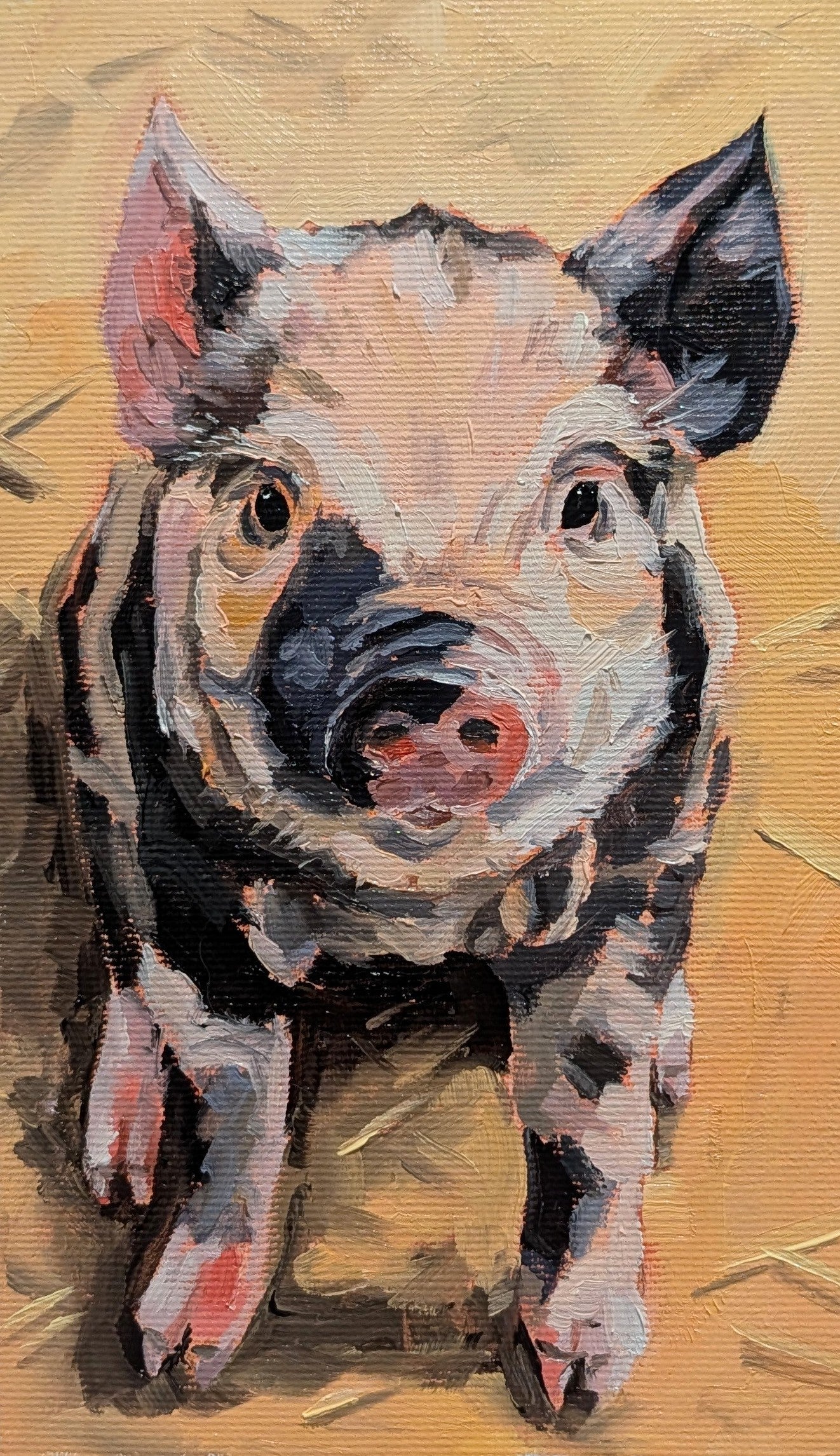 Piglet