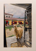 Llama on the market