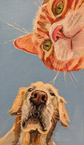 Cats and Dogs