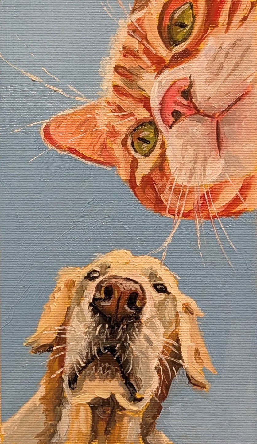 Cats and Dogs