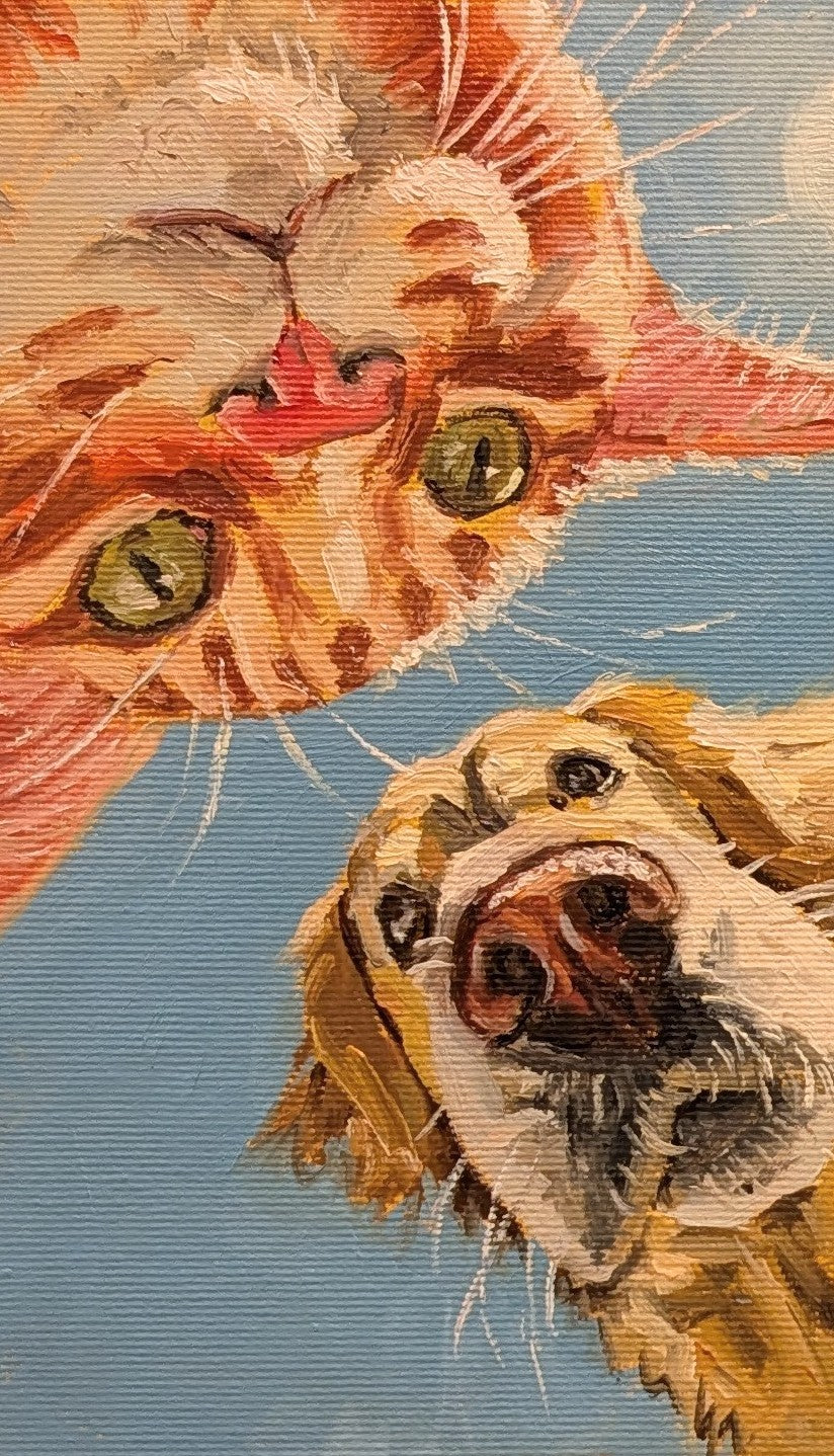 Cats and Dogs